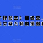 21天《子弹秘密》训练营，21天学到顶尖文案大师的策略和技巧