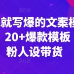 看完就写爆的文案模板课，20+爆款模板  涨粉人设带货