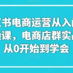 小红书电商运营从入门到精通课，电商店群实战，从0开始到学会