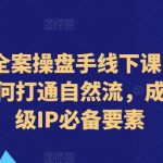 短视频全案操盘手线下课(4-5月)教你如何打通自然流，成为想象级IP必备要素