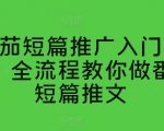 番茄短篇推广入门教学，全流程教你做番茄短篇推文