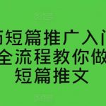 番茄短篇推广入门教学，全流程教你做番茄短篇推文