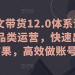 抖音图文带货12.0体系课，主打全品类运营，快速出单拿结果，高效做账号