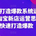 淘宝打造爆款系统运营课，淘宝新店运营思路，快速打造爆款