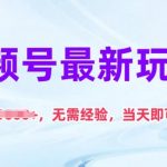 视频号最新玩法，日入1k+，无需经验，当天即可上手【揭秘】