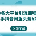 最新9.0各大平台引流课程(小红书快手抖音闲鱼头条b站)