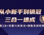 从小新手到销冠 三合一速成：销售3法+非暴力关单法+销售系统挖需课 (27节