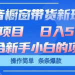 抖音橱窗带货新玩法，单日收益几张，操作简单，条条爆款【揭秘】