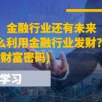 某付费文章：金融行业还有未来吗?普通人怎么利用金融行业发财?(附财富密码