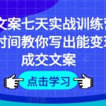 成交文案七天实战训练营，七天时间教你写出能变现的成交文案