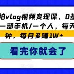 从0到1拍vlog视频变现课，0基础/0经验/一部手机/一个人，每天5分钟，每月多赚1W+