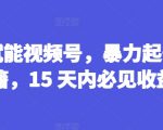 AI赋能视频号，暴力起号秘籍，15 天内必见收益【揭秘】