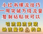 小红书爆流技巧，一周突破万级流量，复制粘贴就可以，引流爆流变现【揭秘】