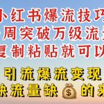 小红书爆流技巧，一周突破万级流量，复制粘贴就可以，引流爆流变现【揭秘】