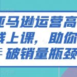 亚马逊运营高阶线上课，助你突破销量瓶颈