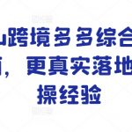 Temu跨境多多综合运营指南，更真实落地的实操经验