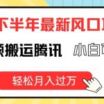 2024下半年最新风口项自，海外视频搬运腾讯，小白可上手，轻松月入过万【揭秘】