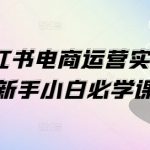 1V1小红书电商运营实操课，新手小白必学课