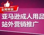 全网稀缺！亚马逊成人用品站外营销推广，​教你引爆站外流量，开启爆单模式