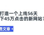 某付费文章《如何打造一个上线56天就拿下45万点击的新网站?》