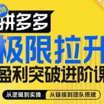 拼多多极限拉升盈利突破进阶课，​从算法到玩法，从玩法到团队搭建，体系化系统性帮助商家实现利润提升