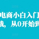 小红书电商小白入门课，店群实战，从0开始到学会