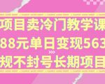 独家项目卖冷门教学课程一单88元单日变现5632元违规不封号长期项目