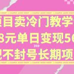 独家项目卖冷门教学课程一单88元单日变现5632元违规不封号长期项目