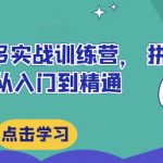 最新拼多多实战训练营， 拼多多从入门到精通