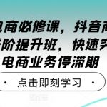 024年电商必修课，抖音商家直播操盘手进阶提升班，快速突破直播电商业务停滞期