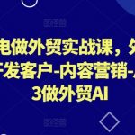 AI闪电做外贸实战课，​外贸建站-开发客户-内容营销-从0到3做外贸AI（更新