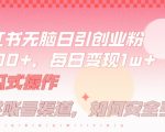 小红书无脑每日引流创业粉500+，小白每天只花半小时，躺赚长尾收益【揭秘】