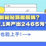 会复制粘贴就能搞钱?最新玩法，1天产出2465元?不用剪辑也能上手