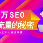 SEO实操培训：玩转百万SEO流量，助力站长快速提升流量（搜外三木大神分享课