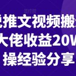 小说推文视频搬运玩法大佬收益20W实操经验分享