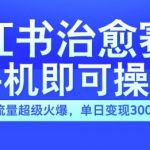 小红书治愈视频赛道，手机即可操作，流量超级火爆，单日变现300+【揭秘】