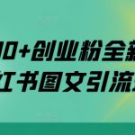 日引200+创业粉全新思路，小红书图文引流玩法【揭秘