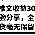 小说推文收益30W大佬经验分享，全程干货毫无保留