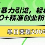 简单暴力引流，轻松达到日引500+精准创业粉，单日变现2k【揭秘】