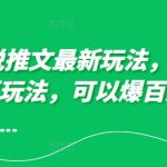 0月小说推文最新玩法，朋友圈图文评论区玩法，可以爆百万大流量