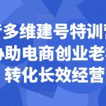 多维建号特训营44期，协助电商创业老板提升转化长效经营