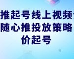 随心推起号线上视频课，实操随心推投放策略，正价起号