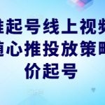 随心推起号线上视频课，实操随心推投放策略，正价起号