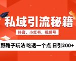 私域流量的精准化获客方法 野路子玩法 吃透一个点 日引200+ 【揭秘】