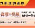 抖音最新暴力引流创业粉，3分钟一条创业类视频，24h轻松加爆一个500人精准创业粉群【揭秘