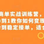 小红书商单实战训练营，全网首发，从0到1教你如何变现，从起号涨粉到稳定接单，适合新手