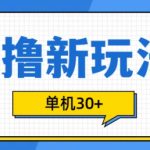 0撸项目新玩法，可批量操作，单机30+，有手机就行【揭秘】