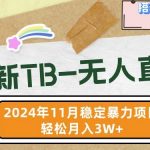 最新TB-无人直播】11月最新，打造你的日不落直播间，轻松月入过W【揭秘】