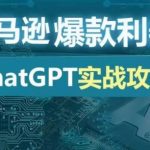 亚马逊爆款利器：ChatGPT实战攻略，以最低的成本和最高的效率打造日出百单的爆品