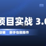 虚拟项目实战3.0，打造自动盈利店铺，可长期操作投入低，新手也能操作